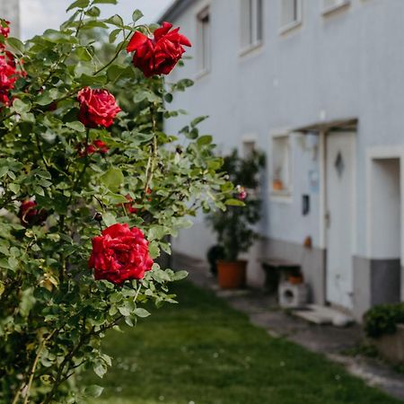Ferienwohnung Morgensonne Schützen am Gebirge エクステリア 写真