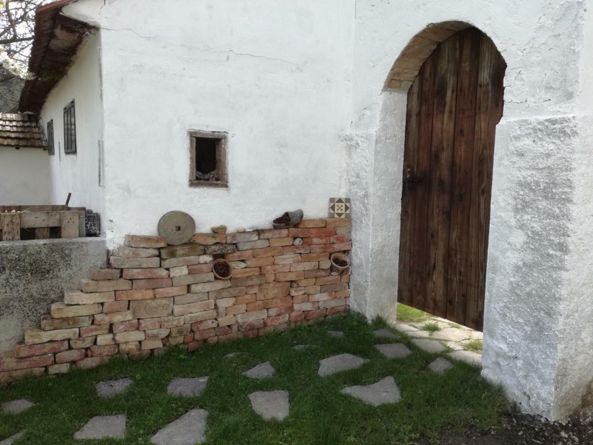Ferienwohnung Morgensonne Schützen am Gebirge エクステリア 写真